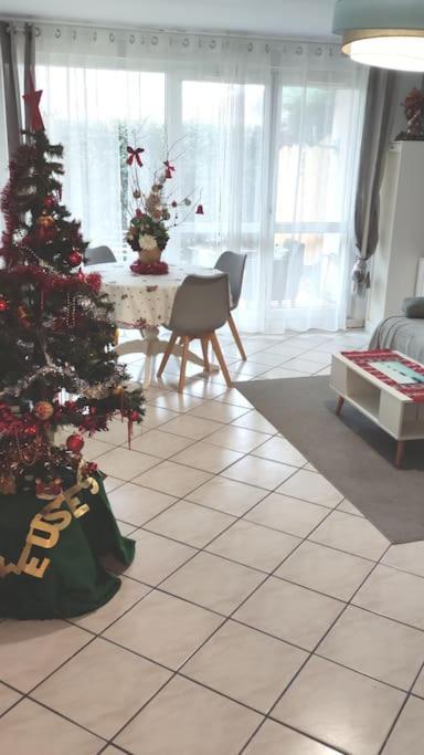 Apartment De 51 M2 Avec Jardin De 51 M2, Parking Prive